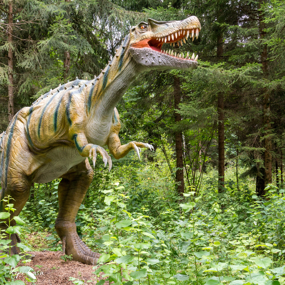Dinopark Bojnice, Kipi Casa